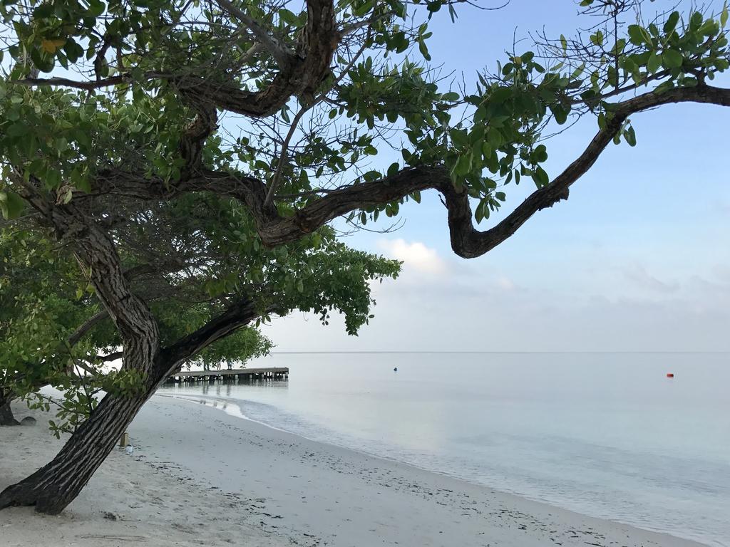 Baru Playa Eco Beach Resort