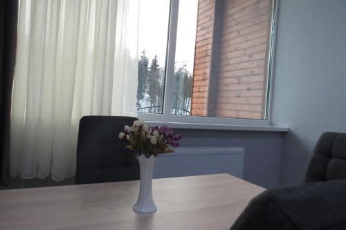 Hotel Kokhta