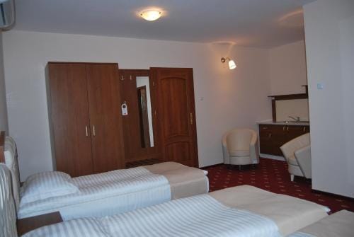 Hostel Paltinis
