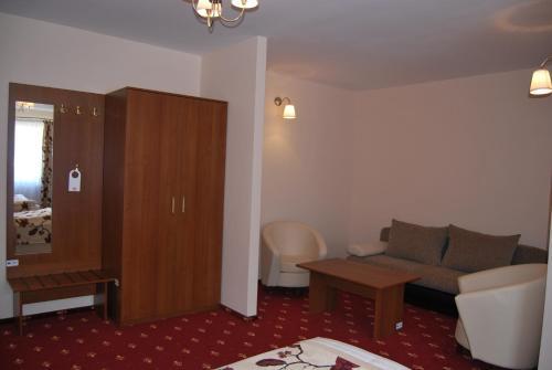 Hostel Paltinis