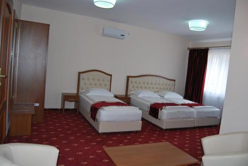 Hostel Paltinis