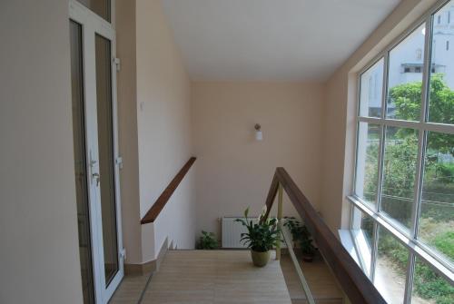Hostel Paltinis