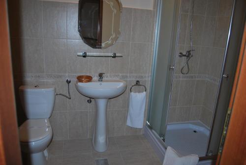 Hostel Paltinis