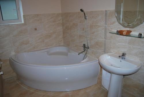 Hostel Paltinis