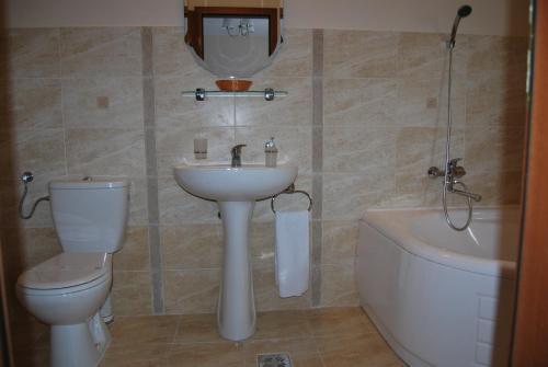 Hostel Paltinis