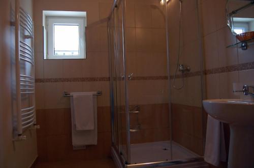 Hostel Paltinis