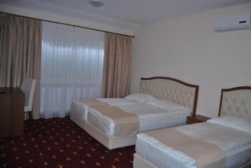 Hostel Paltinis