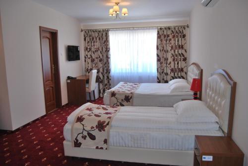 Hostel Paltinis