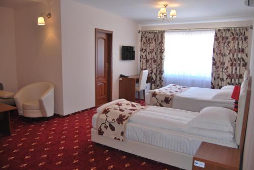 Hostel Paltinis