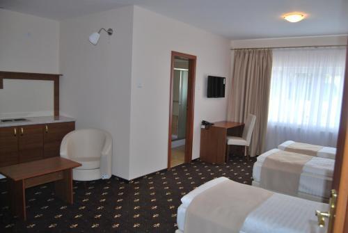 Hostel Paltinis
