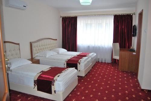 Hostel Paltinis