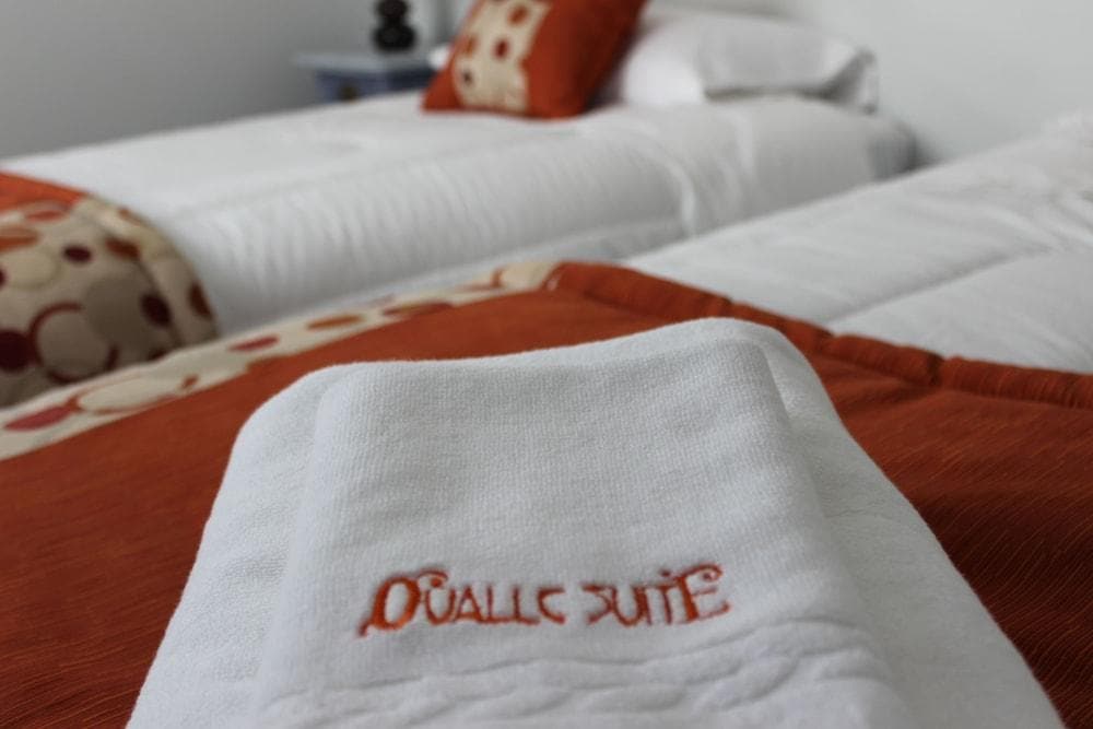 Hostal Ovalle Suite