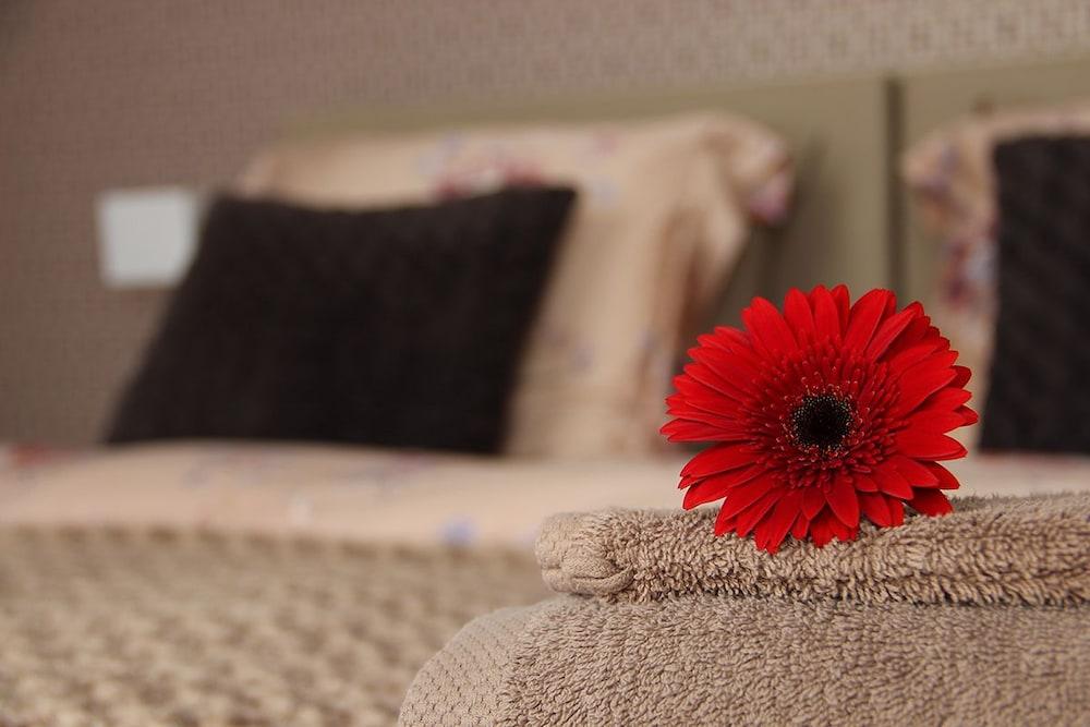B&B @Room's