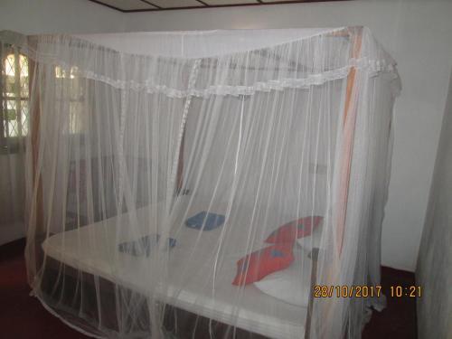 Nature Inn