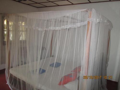 Nature Inn