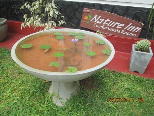 Nature Inn