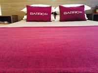 Hotel Boutique Barrio 14