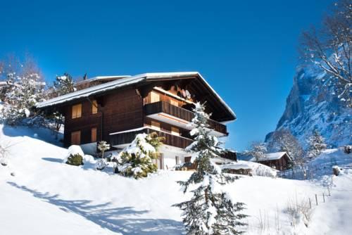 Apartment Grindelwald Gletscher