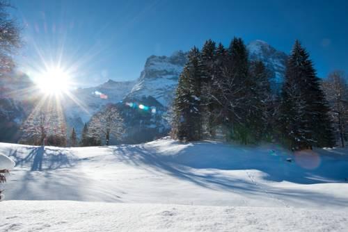 Apartment Grindelwald Gletscher