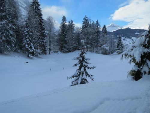 Apartment Grindelwald Gletscher
