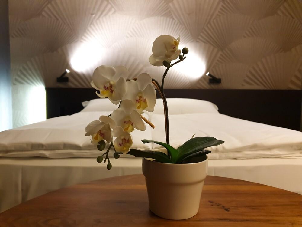 Hotel San Carlo