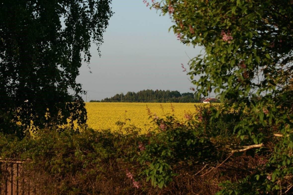 Lilla Huset pa slatten B&B