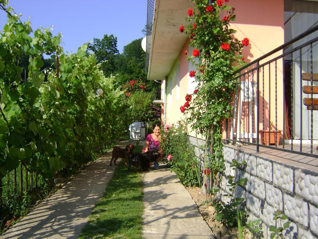 Pensiunea Vidra