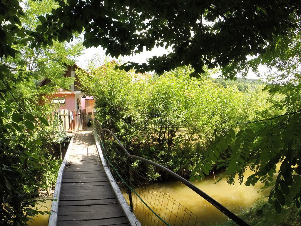 Pensiunea Vidra