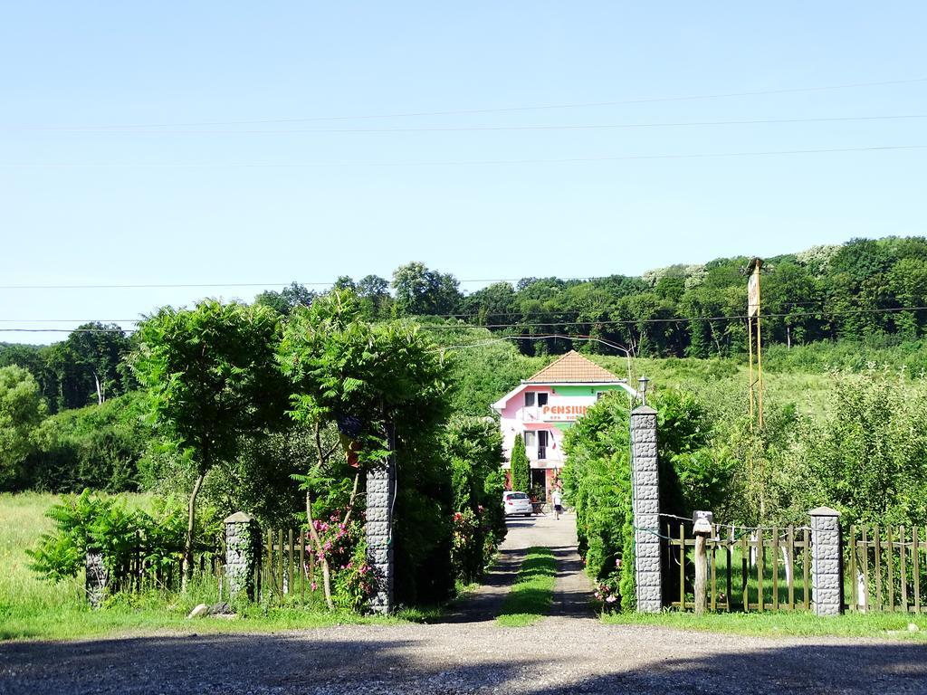 Pensiunea Vidra