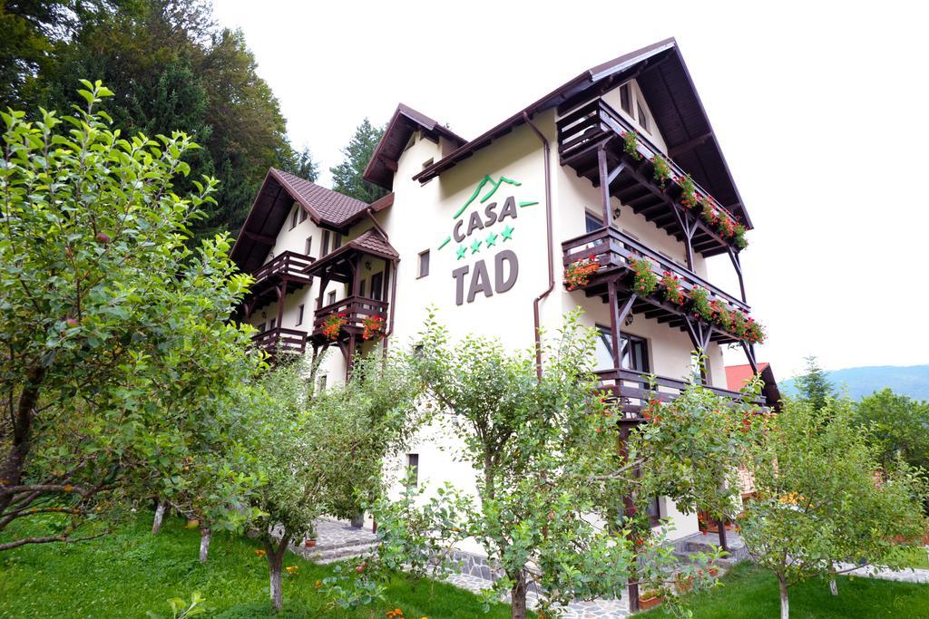 Casa Tad
