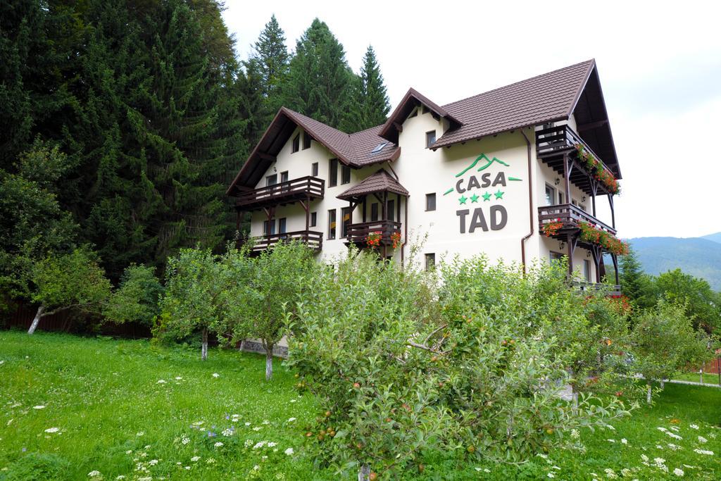 Casa Tad