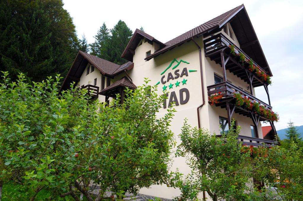 Casa Tad