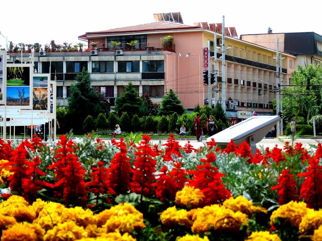 Hotel Roza