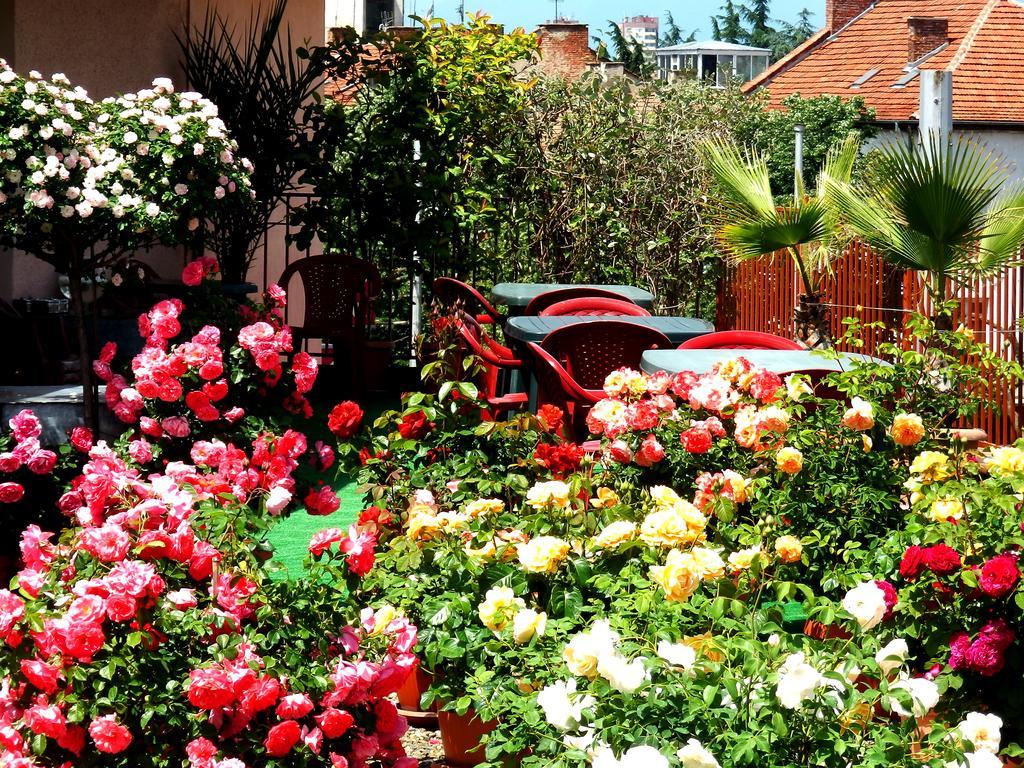 Hotel Roza