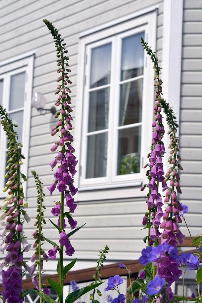 Villa Sedin Bed & Breakfast