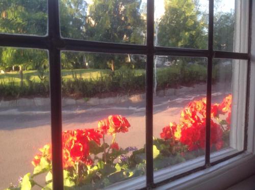 Villa Sedin Bed & Breakfast