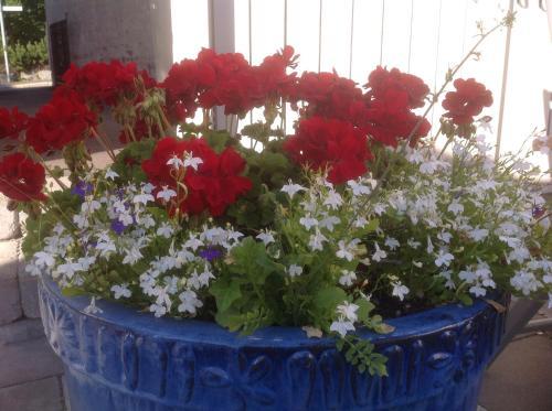 Villa Sedin Bed & Breakfast