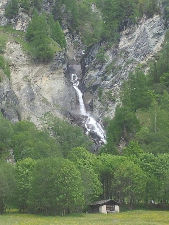 Hotel Alpina