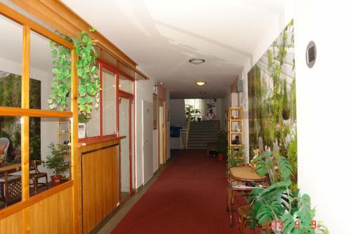 Hold Apartmanok