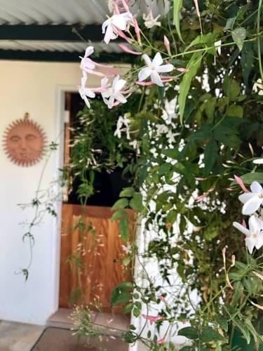 La Bella B&B Under The Fig Tree