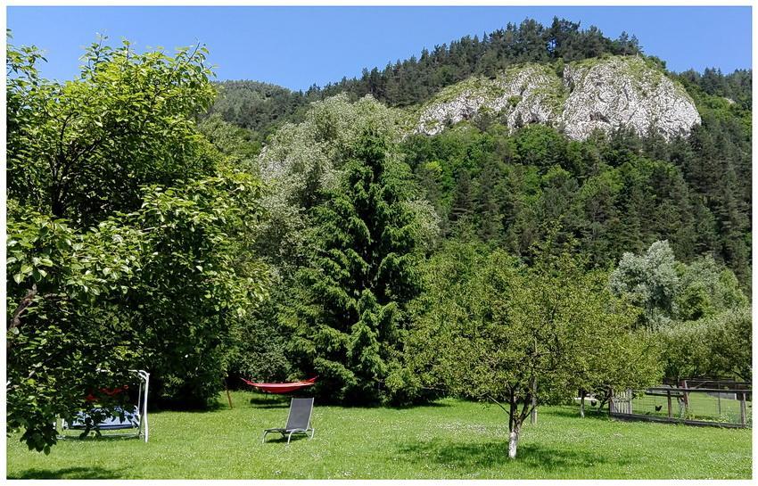 Pensiunea Alpin