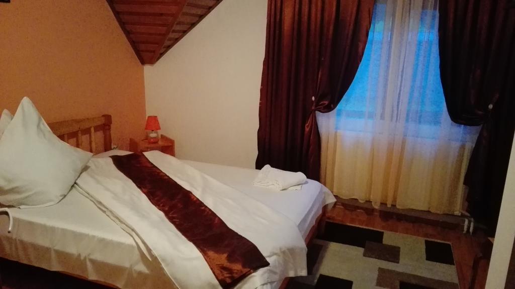 Pensiunea Alpin