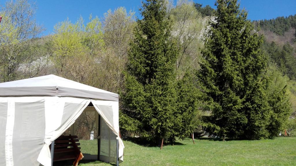 Pensiunea Alpin