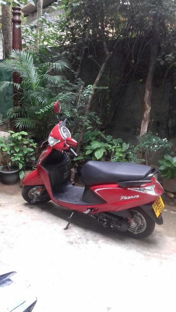 Mango Tree Rooms