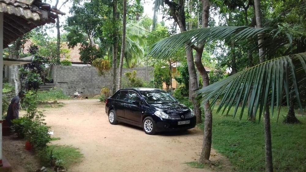 Mango Tree Rooms