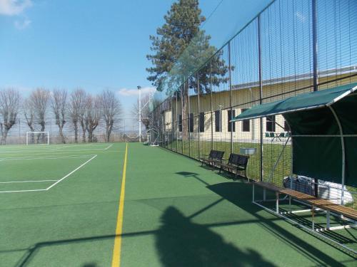Conacul Domnesc