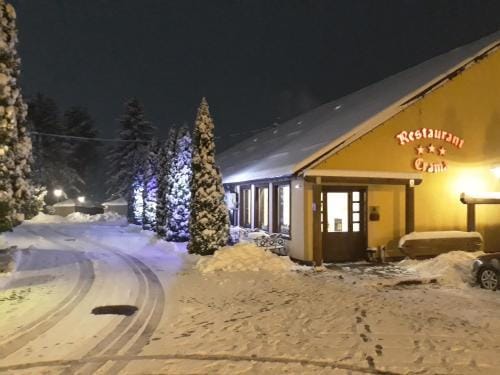 Conacul Domnesc