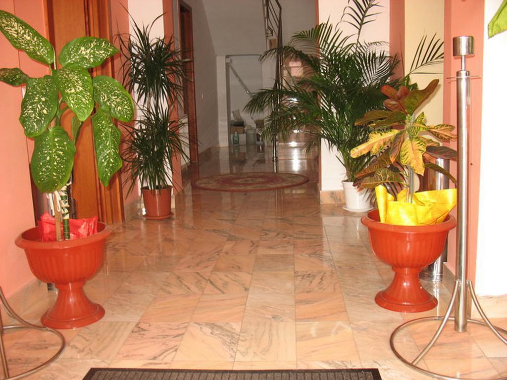 Pension Noroc si Fericire