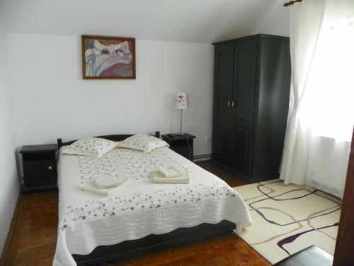 Pensiunea Andra's House