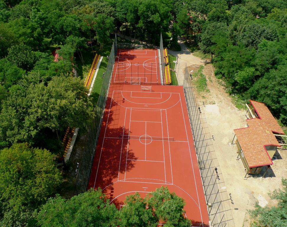Arsenal Park Transilvania
